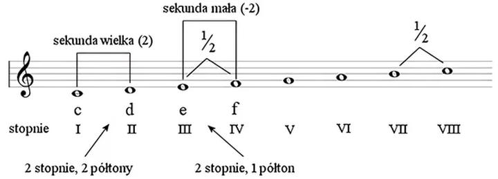 Aeroby a wydolność