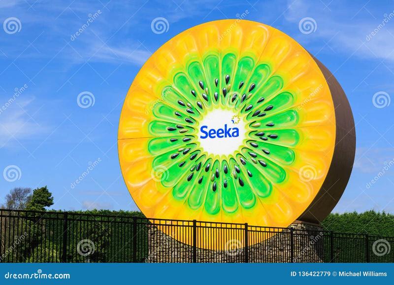 Kiwi na odchudzanie i trawienie