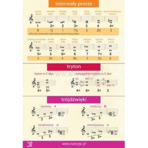 Interwały czy aeroby? Klucz do maksymalnych efektów według badań naukowych
