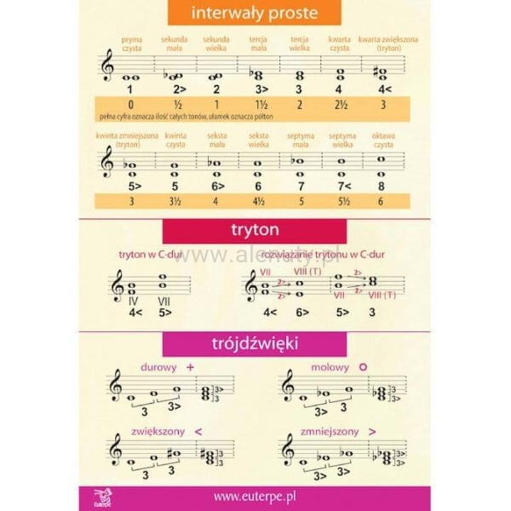 Interwały czy aeroby? Klucz do maksymalnych efektów według badań naukowych