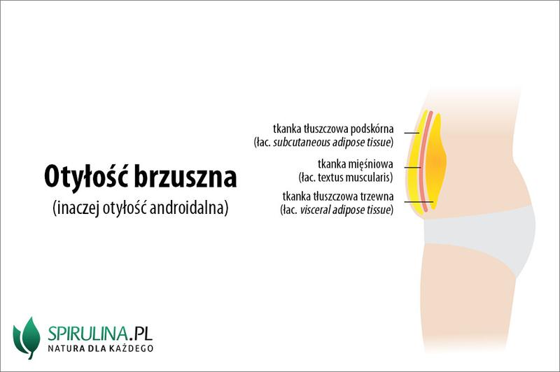 Jak walczyć z epidemią nadwagi i otyłości w naszym społeczeństwie?