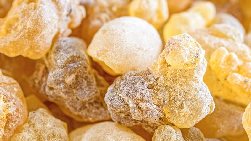 Odkryj moc boswellii serrata: sekret kadzidłowca indyjskiego w naturalnej medycynie