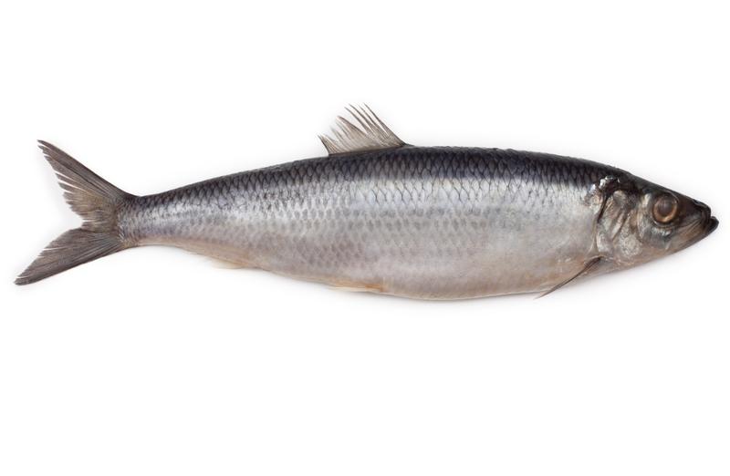 Tradycyjne potrawy wracają do łask