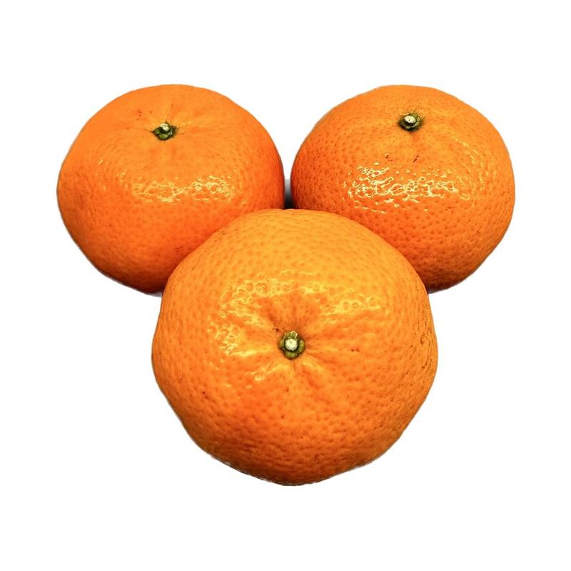 Mandarynka – Czy To Prawda, Że Tuczy? Sprawdzamy Fakty i Mity