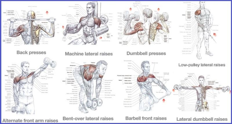 Odkryj cztery skuteczne ćwiczenia na zdrowe i silne barki